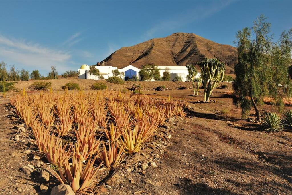 Romantica Fuego - Eco Retreat Finca Artis Tirma 타라할레호 외부 사진