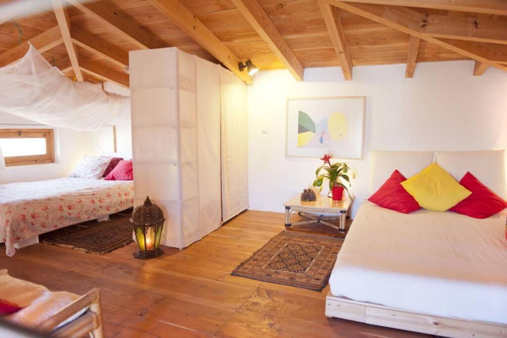 Romantica Fuego - Eco Retreat Finca Artis Tirma 타라할레호 외부 사진